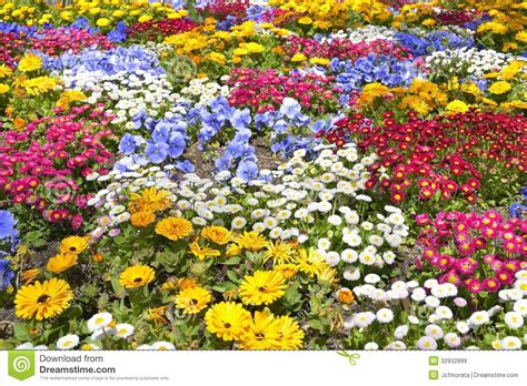 Flower Garden Royalty Free Stock Images Image 32932899