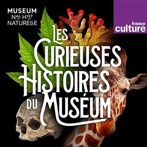 Les Curieuses Histoires Du Muséum France Culture Amazonfr Livres