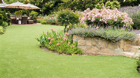 5 Tips For Making Your Yard Low Maintenance Ecolawn Sb