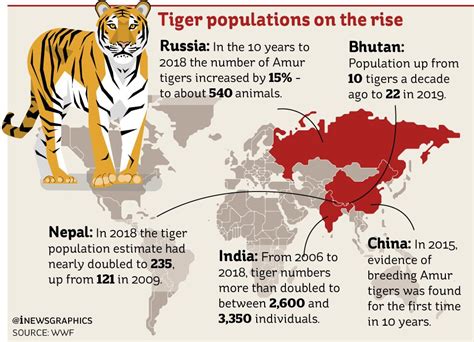 Wild Tiger Populations On The Rise Across China India Bhutan Nepal