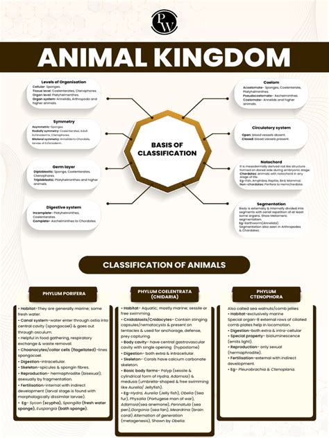 Animal Kingdom Mind Maps Arjuna Neet 2024 Pdf Sponge Fish