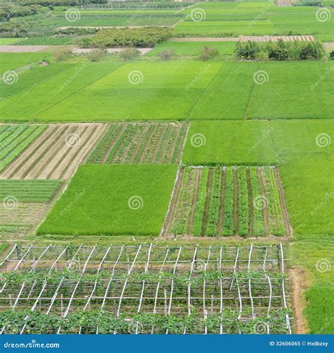 Large Green Farm Land Stock Image Image Of Angle Country 32606065