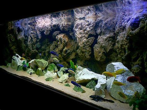 Diy 3d aquarium background part 2. ND AQUATICS LTD | Custom aquarium, Aquarium fish tank ...