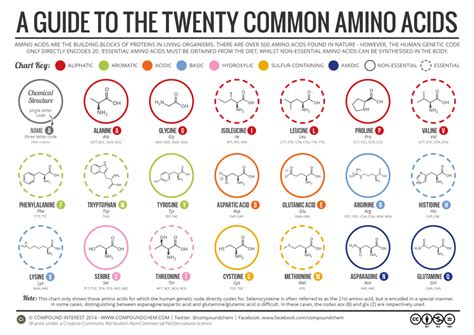 From a structural perspective, amino acids are typically composed of a carbon atom, a hydrogen atom, a carboxyl group along with an amino group and a variable. Best Protein Powder Buyers Guide (Top 4) - Supplement Demand