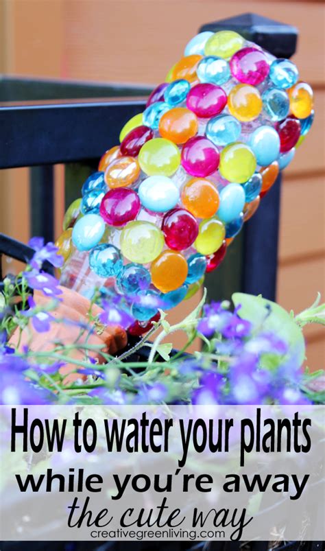 Morning is the best time to water. The Cute DIY Way to Water Your Plants While on Vacation ...