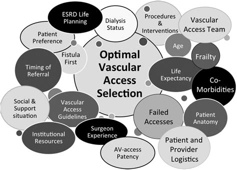 New Insights Into Dialysis Vascular Access What Is The Optimal