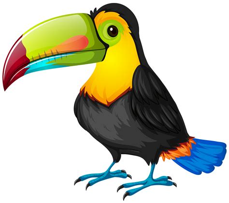 Toucan Clipart Zoo Cartoon Birds Png Download 731482 Pinclipart
