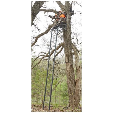 Guide Gear 2 Person Reviews 20 Double Rail Ladder Tree Stand