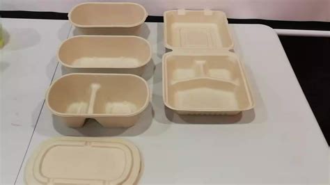 14 Amazing Disposable Lunch Box For 2024 Storables