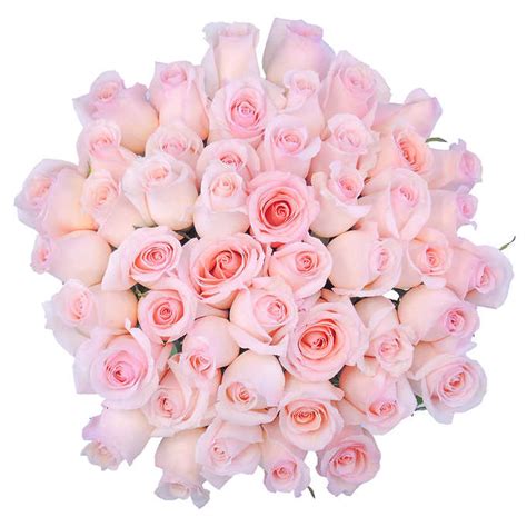 Rose Bouquet Pink True Confections