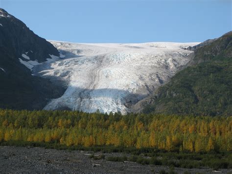 Exit Glacier Seward Alaska