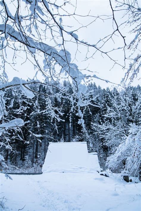 Winter Scenery Forest And House Covered Up With Snow Stock Image