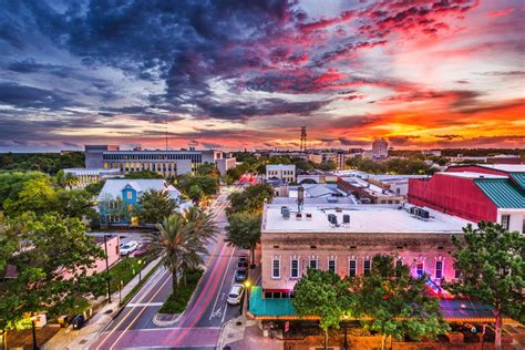 19 Amazing Things To Do In Gainesville Florida