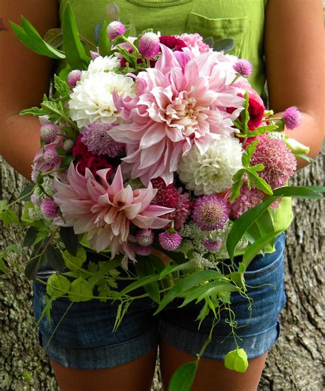 Wedding Flowers From Springwell Summer Bouquet Of Cafe Au Lait Dahlias