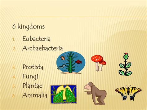 Ppt 6 Kingdoms Of Life Powerpoint Presentation Free Download Id