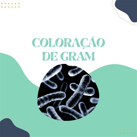 Coloração De Gram Relatório