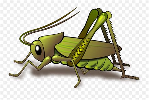 Download Cartoon Cricket Chirping Clipart Cricket Insect Png