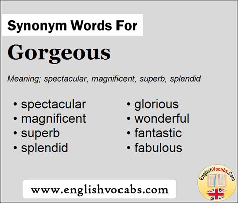Synonym For Gorgeous What Is Synonym Word Gorgeous English Vocabs