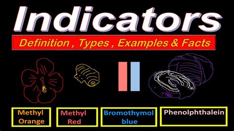 Indicators Definition Types Examples And Facts 10th Class Chemistry