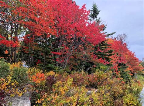 8 Beautiful Stops On A Maine Fall Foliage Road Trip Maine In The Fall