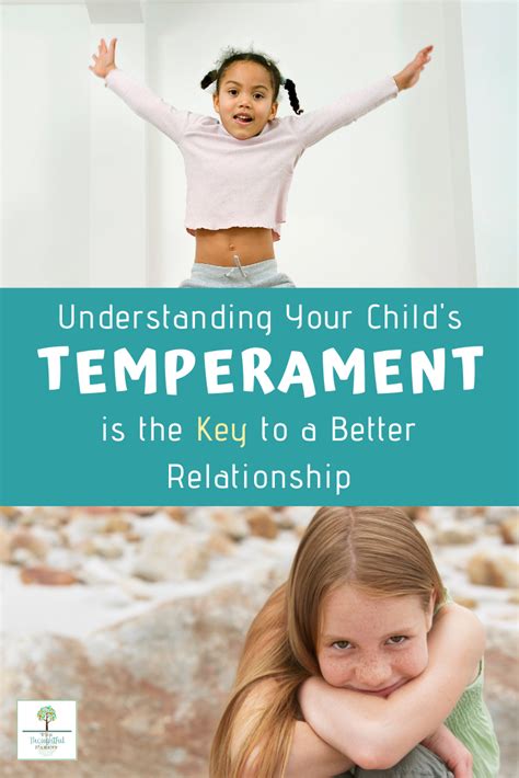 How To Describe A Childs Temperament