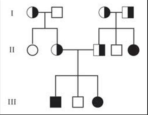 Solved 1 Using A Pedigree Autosomal Recessive Traits Such As