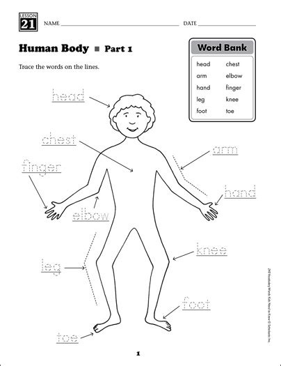 Explore the human body by knowing the different parts of the body. Product Detail Page