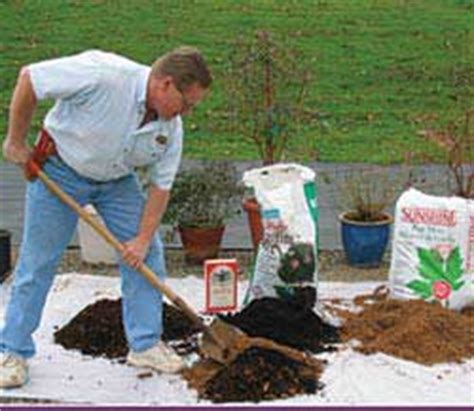 In fact, homemade soil is much better than a commercial potting mix because. Blueberries In Containers | Dave Wilson Nursery