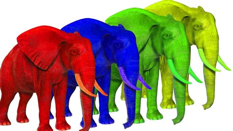 Learn Colors With Elephants For Children Colors Elephant For Kids