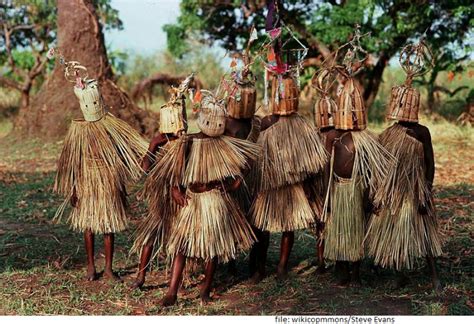 rituals in africa and the limits of the rule of law african rituals afro gist media
