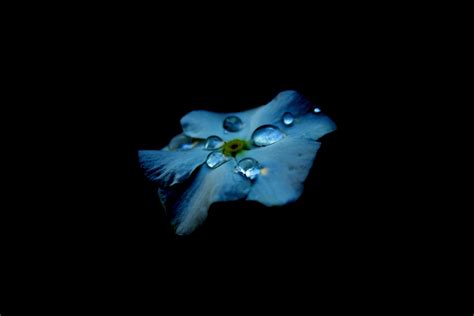 Oled HD PC Wallpapers - Wallpaper Cave
