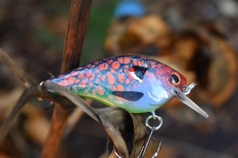 Howell Custom Lures Spawning Seed Custom Painted Fishing Lure Etsy