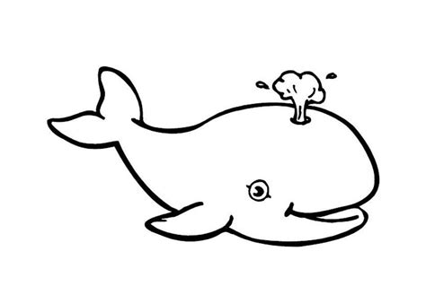 Animal coloring pages / by ranjan. Dibujos para colorear de ballenas y focas