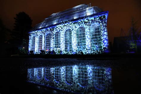 In Pictures Festive Light Show Spectacular At Edinburghs Royal