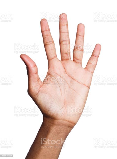 Black Hand Shows Number Five Isolated Stock Photo Download Image Now