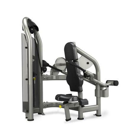 Spotlight On The Seated Dip Tricep Press Fred Smith Company Sports Club