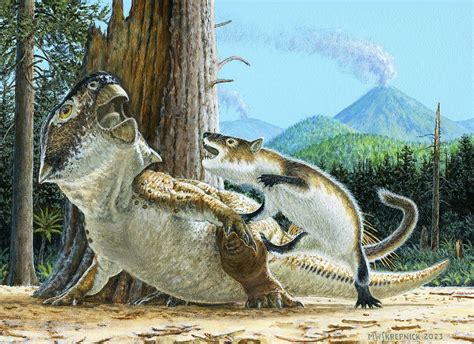 Fossil Reveals A Dinosaur And Mammal Locked In A Fight 125m Years Ago