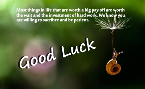 100 Good Luck Wishes Messages And Quotes Wishesmsg