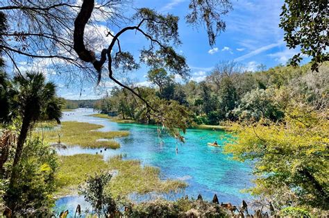 8 Best Natural Springs In Florida And How To Get To Them