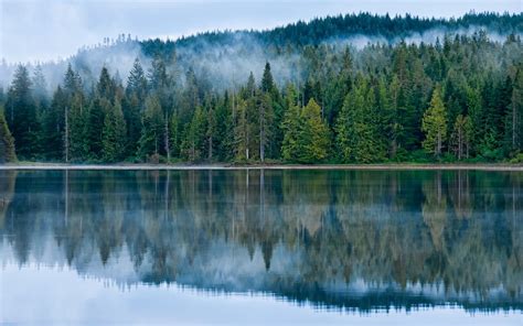 Trees Landscape Forest Lake Water Nature Reflection Green Blue