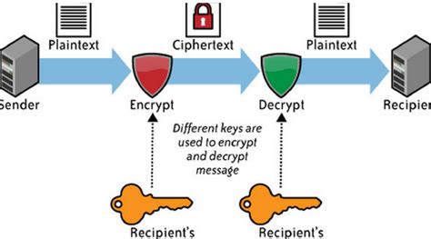 Cryptography Basics The Ins And Outs Of Encryption Laptrinhx