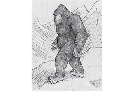 Dna Study Solves Mystery Of Himalayan Yeti With Surprising Results