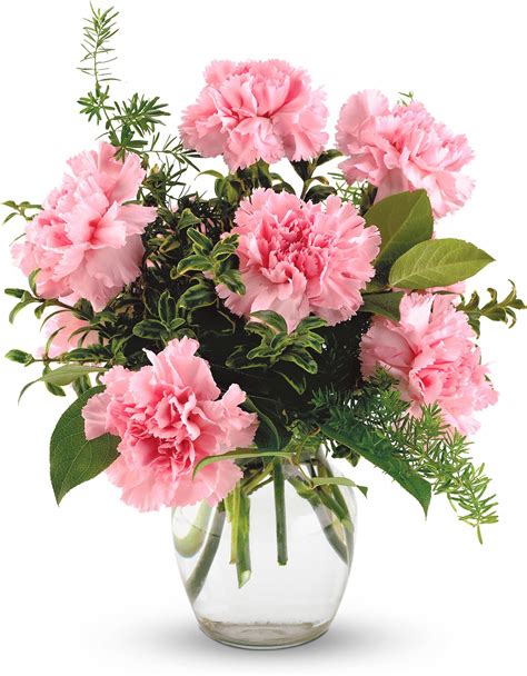 Pink Notion Carnation Flower Flower Arrangements Flower Delivery