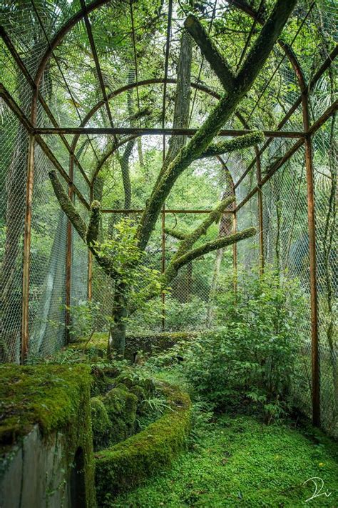 稲田大樹 Daiki Inada 📕京都浪漫紀行 On X 自然の美学 緑の美学 美しい庭
