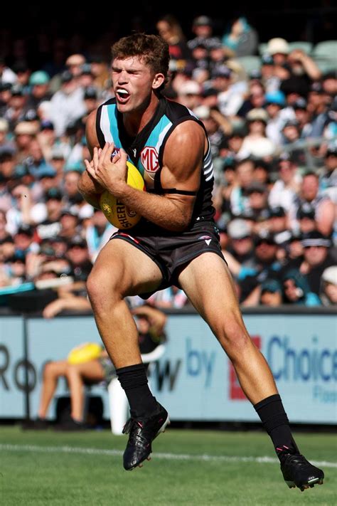 port adelaide coach ken hinkley backs power s program to help keep out of favour forward mitch