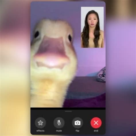 Facetime Duck Lens By Hayden Snapchat Lenses And Filters