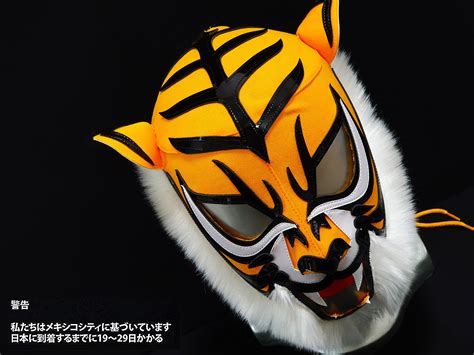 Tiger Mask V Wrestler