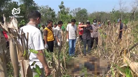 Diduga Korban Pembunuhan Polisi Dalami Temuan Jenazah Di Ladang Jagung