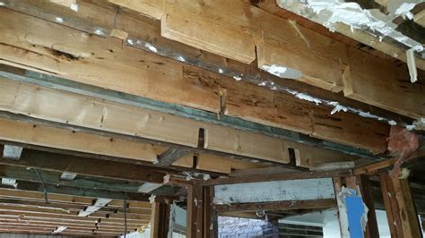 Repair Detail For Notched Floor Joists Photo
