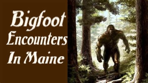 Bigfoot Encounters In Maine Youtube